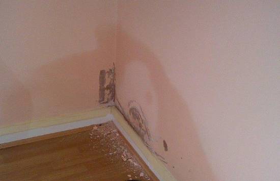How to cure Rising Damp