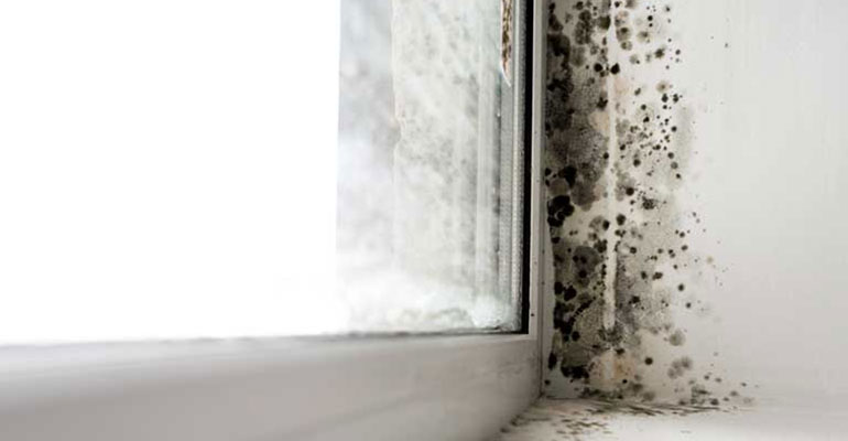 What causes condensation in houses?